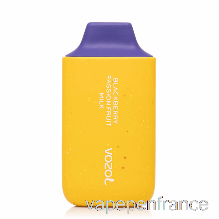 Vozol Star 6000 Stylo Jetable De Vape De Lait De Fruit De La Passion De Mûre